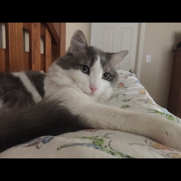 Meet your Posher, Tammy - Picture 2 of 6